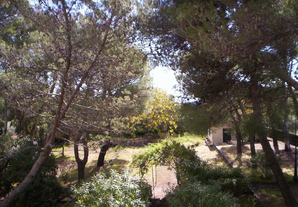 פדארה Villa Morgante B&B מראה חיצוני תמונה