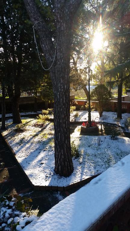 פדארה Villa Morgante B&B מראה חיצוני תמונה