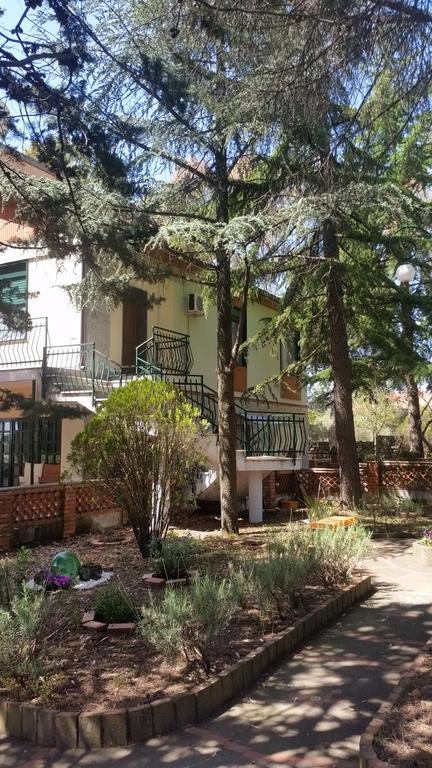 פדארה Villa Morgante B&B מראה חיצוני תמונה