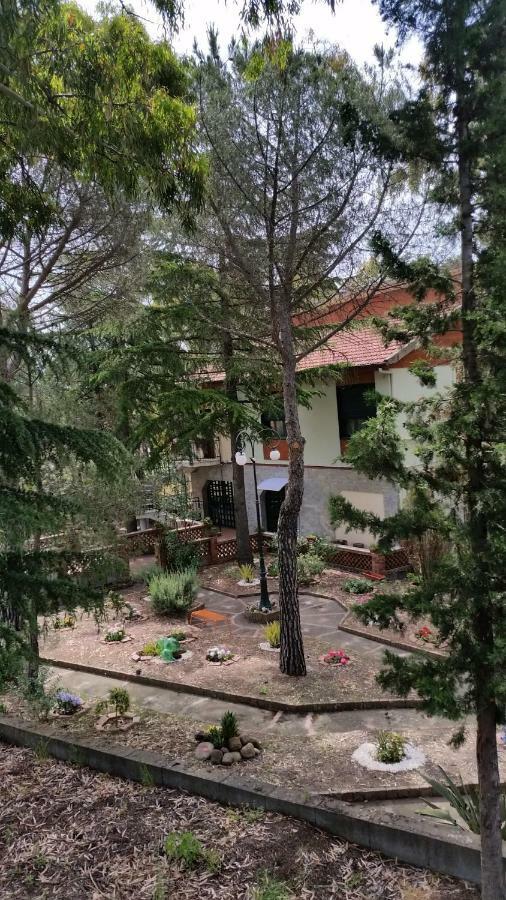 פדארה Villa Morgante B&B מראה חיצוני תמונה