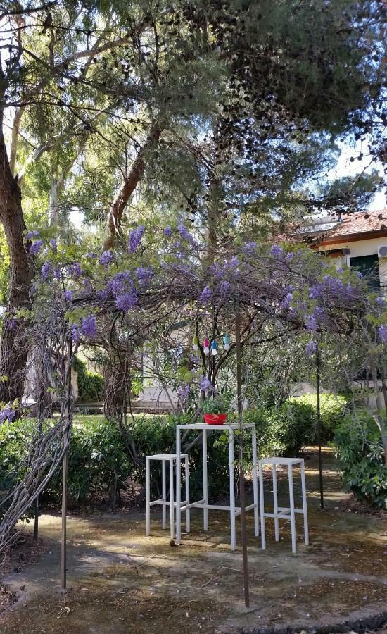 פדארה Villa Morgante B&B מראה חיצוני תמונה
